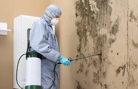 Best Biohazard Mold Removal  in Goodyear, AZ